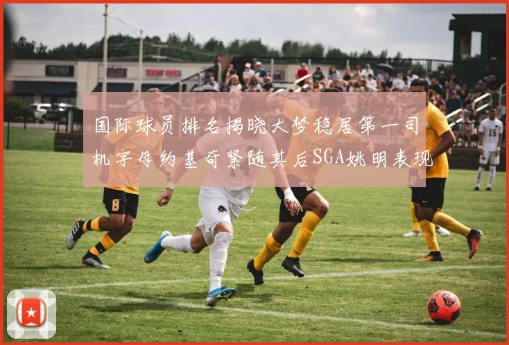 国际球员排名揭晓大梦稳居第一司机字母约基奇紧随其后SGA姚明表现引关注